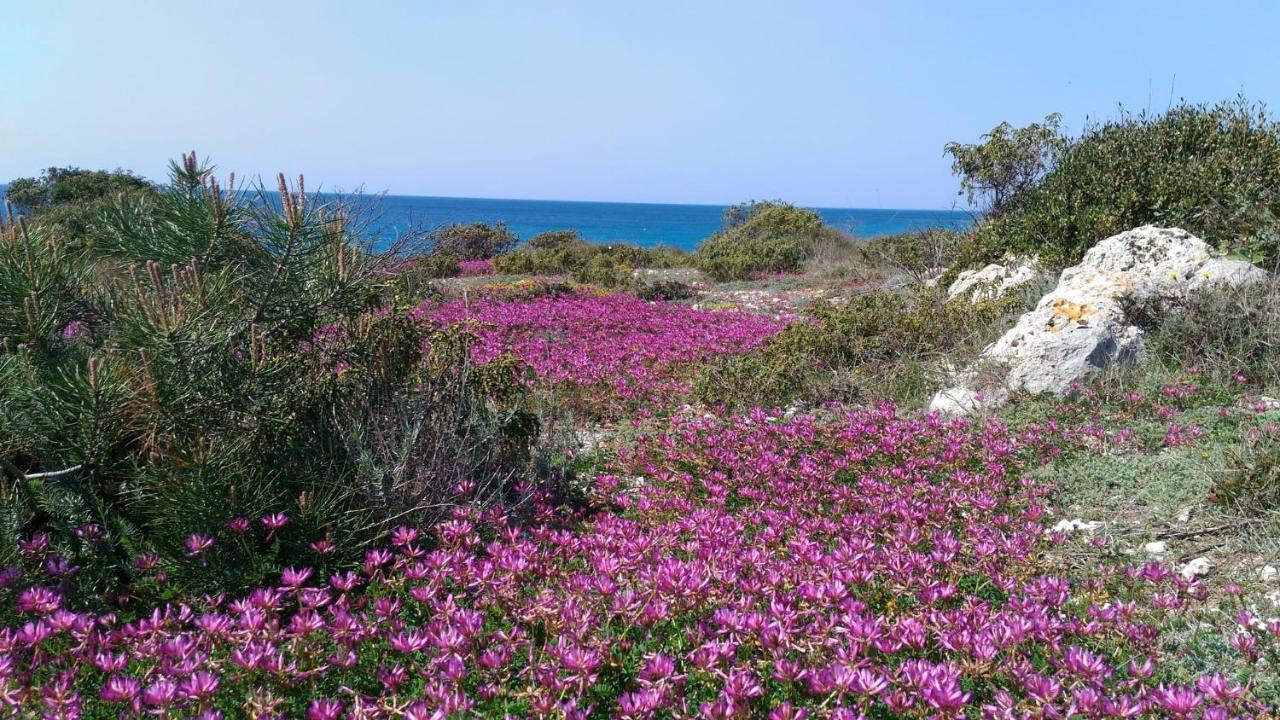 Casamare *