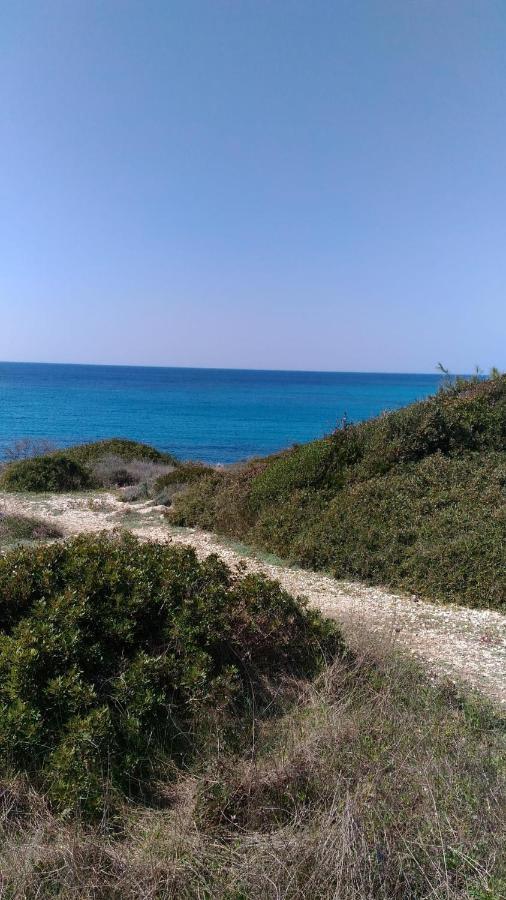 Casamare